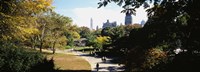 Framed High angle view of a group of people walking in a park, Central Park, Manhattan, New York City, New York State, USA