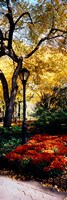 Framed Lamppost in a park, Central Park, Manhattan, New York City, New York, USA