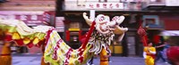 Framed Group of people performing dragon dancing on a road, Chinatown, San Francisco, California, USA