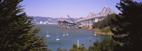Framed Cranes at a bridge construction site, Bay Bridge, San Francisco, California