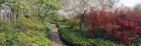 Framed Trees in a garden, Garden of Eden, Ladew Topiary Gardens, Monkton, Baltimore County, Maryland, USA