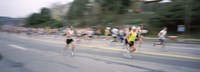 Framed Marathon runners on a road, Boston Marathon, Washington Street, Wellesley, Norfolk County, Massachusetts, USA
