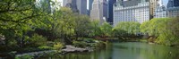 Framed Pond in a park, Central Park South, Central Park, Manhattan, New York City, New York State, USA