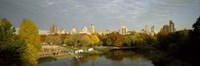 Framed Park with buildings in the background, Central Park, Manhattan, New York City, New York State, USA