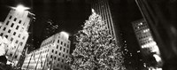 Framed Christmas tree lit up at night, Rockefeller Center, Manhattan (black and white)