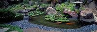 Framed Japanese Garden, University of California, Los Angeles