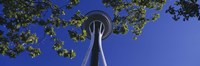 Framed Space Needle Maple Trees Seattle Center Seattle WA USA