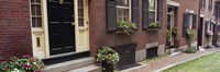 Framed Potted plants outside a house, Acorn Street, Beacon Hill, Boston, Massachusetts, USA