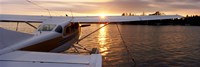 Framed Sea plane, Lake Spenard, Anchorage, Alaska