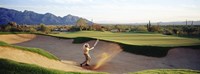 Framed Side profile of a man playing golf at a golf course, Tucson, Arizona, USA