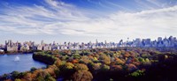 Framed Manhattan from Central Park, New York City