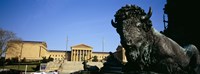 Framed Sculpture of a buffalo with a museum in the background, Philadelphia Museum Of Art, Philadelphia, Pennsylvania, USA