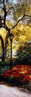 Framed Lamppost in a park, Central Park, Manhattan, New York City, New York, USA