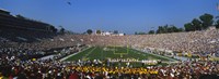Framed High angle view of a football stadium full of spectators, The Rose Bowl, Pasadena, City of Los Angeles, California, USA