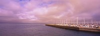 Framed Yachts moored at a harbor, San Francisco Bay, San Francisco, California, USA