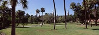 Framed Trees in a campus, University Of Tampa, Florida