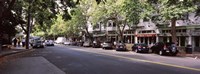 Framed Cars parked at the roadside, College Avenue, Claremont, Oakland, Alameda County, California, USA