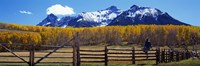 Framed Last Dollar Ranch, Ridgeway, Colorado, USA