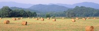 Framed Hay bales in a field, Murphy, North Carolina, USA