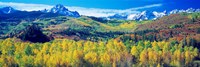Framed San Juan Mountains, Colorado, USA