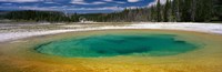 Framed Spring, Beauty Pool, Yellowstone National Park, Wyoming, USA