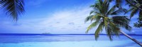 Framed Ocean, Island, Water, Palm Trees, Maldives