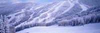 Framed Mountains, Snow, Steamboat Springs, Colorado, USA