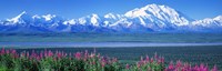 Framed Mountains & Lake Denali National Park AK USA