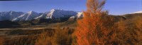 Framed Castle Hill Basin Torlesse Mountains New Zealand