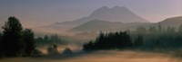 Framed Sunrise, Mount Rainier Mount Rainier National Park, Washington State, USA