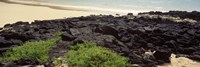 Framed Lava rocks at a coast, Floreana Island, Galapagos Islands, Ecuador