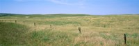 Framed Grass on a field, Cherry County, Nebraska, USA