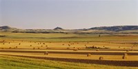 Framed Slope country ND USA