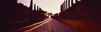Framed Ruins along a road at dawn, Roman Forum, Rome, Lazio, Italy