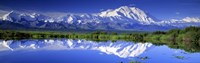 Framed Alaska Range, Denali National Park, Alaska, USA