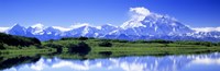 Framed Reflection Pond, Mount Mckinley, Denali National Park, Alaska, USA