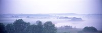 Framed Foggy Landscape Northern Germany