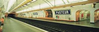 Framed Metro Station, Paris, France