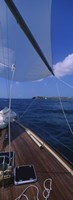 Framed Sailboat racing in the sea, Grenada