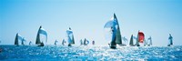 Framed Sailboat Race, Key West Florida, USA