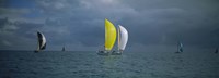 Framed Sailboat race Key West, Florida