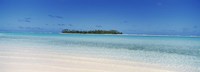 Framed Maina, Cook Islands