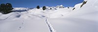 Framed Footprints on a snow covered landscape, Alps, Riederalp, Valais Canton, Switzerland