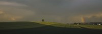 Framed Storm clouds over a field, Canton Of Zurich, Switzerland