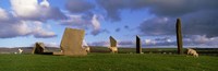 Framed Sheep, Stones Of Stenness, Orkney Islands, Scotland, United Kingdom