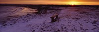 Framed Bench On A Snow Covered Landscape, Filey Bay, Yorkshire, England, United Kingdom