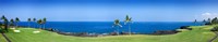 Framed Trees in a golf course, Kona Country Club Ocean Course, Kailua Kona, Hawaii