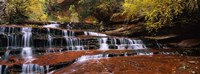 Framed Waterfall in a forest, North Creek, Zion National Park, Utah, USA