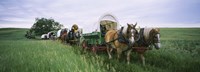 Framed Historical reenactment, Covered wagons in a field, North Dakota, USA