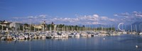 Framed Boats moored at a harbor, Lake Geneva, Lausanne, Switzerland